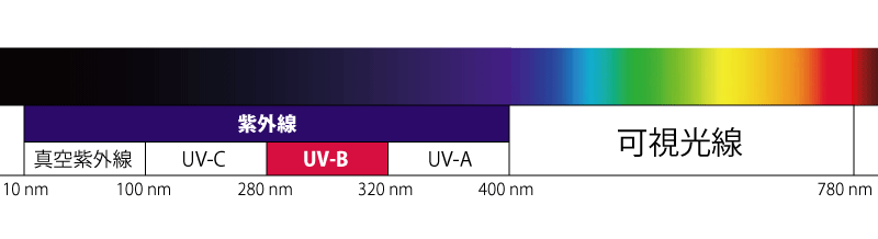 UV-B(紫外線B波)の波長